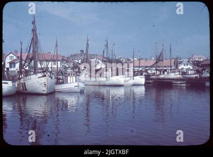 Selon les notes: 70 pcs. Lame alésée. + 5 bidons avec lame d'oramade. Bateaux, chantiers navals, mer. N° films 126Klova port TV GG 345 'Ian' (skipper Evald Edvardsson non inclus dans la photo) à l'extrémité de GG 231 'Randivåg' (skipper V. Olofsson non inclus dans la photo). Vue depuis un port de pêche avec plusieurs bateaux de pêche. Tous les bateaux de pêche étiquetés 'GG ...'. Banque D'Images