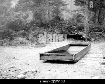 Écrit au dos: Lunde in Sindal photographié par: A.E. Christensen. Musée de Tromsö. Norvégien photo prise : 1964-11 Banque D'Images