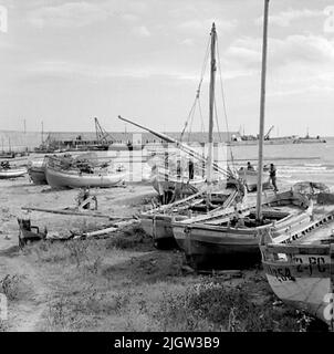 15. Italie. Le journal photo est disponible à B.M.A. + albums photo. Acquisition : livres et documents d'archives. Photos prises 1959-10-28,12 photos en série. Selon les notes: Italie. Côte Adriatique, Trani, 28/10 -59. Bateaux de pêche couverts commandés sur la plage. Un certain nombre de bateaux sont commandés sur une plage. En arrière-plan, la jetée est visible dans un port. Banque D'Images