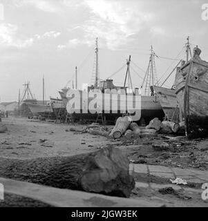 16. Italie. Le journal photo est disponible à B.M.A. + albums photo. Acquisition : livres et documents d'archives. Photos prises 1959-10-28,12 photos en série. Selon les notes: Italie. Côte Adriatique, molfetta, 28/10 -59. Une série de photos des mêmes tours de bateau en bois que les dernières photos du film 15. A plusieurs bateaux sont à la hauteur d'un plan. En face de certains des bateaux sont plusieurs journaux. Banque D'Images