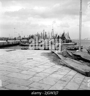 16. Italie. Le journal photo est disponible à B.M.A. + albums photo. Acquisition : livres et documents d'archives. Photos prises 1959-10-28,12 photos en série. Selon les notes: Italie. Côte Adriatique, molfetta, 28/10-59. Vue sur le port de molefett. Un certain nombre de bateaux sont situés dans un port. Sur le quai, deux garçons regardent. Banque D'Images