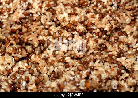 Riz blanc et lentilles brunes cuites à la vapeur d'eau chaude qui est le principal élément de Koshary, un populaire repas de rue fait de riz, macaroni, et Banque D'Images