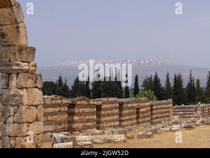 Ruines de l'Umayyad Aanjar dans la vallée de Beeka, gouvernorat de Beqaa, Anjar, Liban Banque D'Images