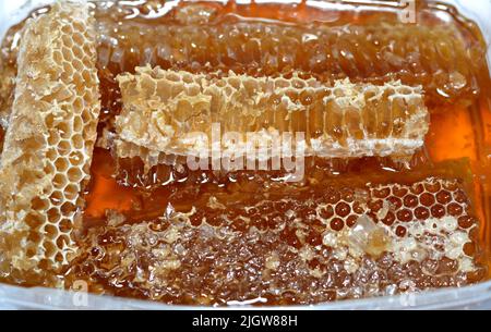 Cellules hexagonales en nid d'abeille avec du miel qui tiennent les oeufs de la reine abeille et emmagasiner le pollen et le miel que les abeilles ouvrières apportent à la ruche, masse de prismati Banque D'Images