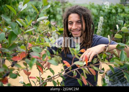 Tayshan Hayden-Smith de Grow2Know au nouveau jardin de 120th anniversaire de Peter Rabbit, construit par Grow2Know, une organisation fondée dans le sillage de la tragédie des incendies de Grenfell, à St Clement et St James ce Primary School, à Londres. Date de la photo: Mercredi 13 juillet 2022. Banque D'Images