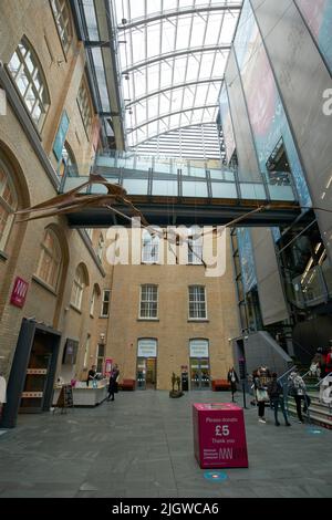 World Museum Liverpool Banque D'Images