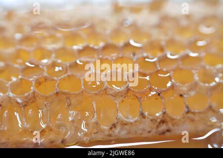 Cellules hexagonales en nid d'abeille avec du miel qui tiennent les oeufs de la reine abeille et emmagasiner le pollen et le miel que les abeilles ouvrières apportent à la ruche, masse de prismati Banque D'Images