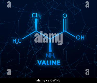 Formule valine pour le design médical. Formule valine, excellent design pour toutes les utilisations Illustration de Vecteur