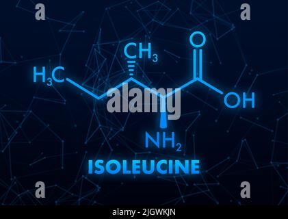 Acide aminé d'isoleucine. Formule moléculaire chimique. Illustration vectorielle. Illustration de Vecteur