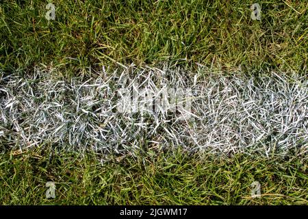 terrain de sport en herbe gros plan avec ligne blanche craie Banque D'Images