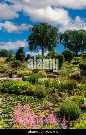 The Rockery,Rock Garden,RHS Wisley,Angleterre,Royaume-Uni Banque D'Images