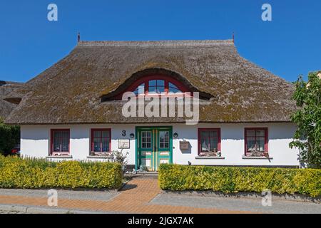 Maison de chaume, Wustrow, Mecklenburg-Ouest Pomerania, Allemagne Banque D'Images