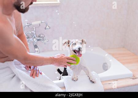 Chien drôle avec bonnet de douche avoir du plaisir avec des bulles de savon dans la salle de bains Banque D'Images