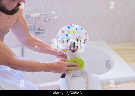 Chien drôle avec bonnet de douche avoir du plaisir avec des bulles de savon dans la salle de bains Banque D'Images