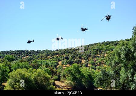 Des hélicoptères volent en ligne dans le ciel bleu au-dessus d'un champ de végétation sauvage. Banque D'Images