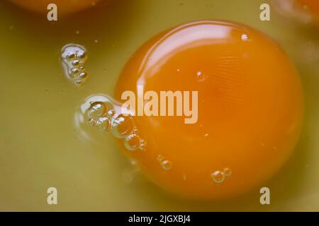 gros plan sur le jaune d'œuf brut, les blancs et les bulles. Macro de jaune d'œuf frais Banque D'Images