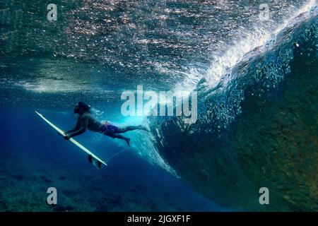 Vue sous-marine du surfeur mâle faisant de la plongée de canard Banque D'Images