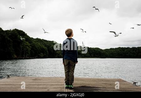garçon debout sur un quai qui regarde un ciel plein d'oiseaux Banque D'Images