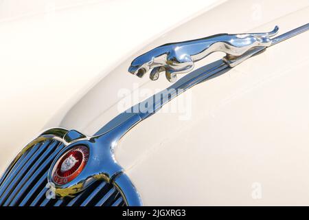 Gros plan de l'écusson de capot mascotte chromé Jaguar XK150 vintage sur peinture crème Banque D'Images