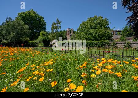 The Flower Gardens and Manor à Southover Grange, Lewes, East Sussex, Royaume-Uni Banque D'Images