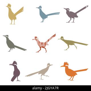 Collection d'oiseaux Roadrunner Illustration de Vecteur
