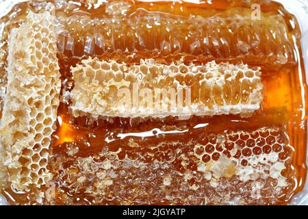 Cellules hexagonales en nid d'abeille avec du miel qui tiennent les oeufs de la reine abeille et emmagasiner le pollen et le miel que les abeilles ouvrières apportent à la ruche, masse de prismati Banque D'Images