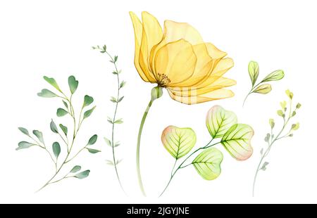 Ensemble de fleurs aquarelles. Collection de rose jaune transparent, de feuilles et de branches. Éléments de conception isolés peints à la main. Illustration botanique pour Banque D'Images