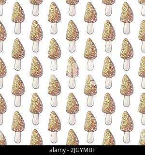 Morchella esculenta. Illustration en mode dessin manuel. Motif sans couture pour la cuisine, le restaurant Illustration de Vecteur