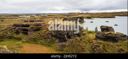 Mývatn est un lac peu profond situé dans une zone de volcanisme actif dans le nord de l'Islande, non loin du volcan Krafla. Il a une grande quantité de biologi Banque D'Images