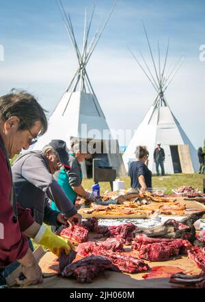 Des Dénés autochtones préparent la viande pour la fête communautaire en été, dans le village de Deline, dans le nord des Territoires du Nord-Ouest, au Canada. Banque D'Images