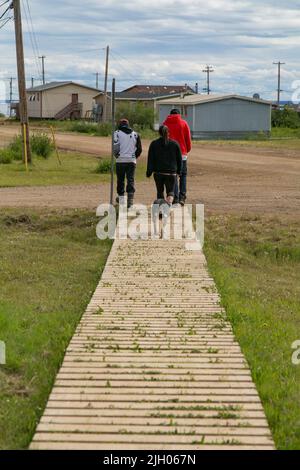 Trois jeunes marchant le long de la promenade suivie d'un chien, dans la communauté autochtone du nord de Deline, Territoires du Nord-Ouest, Canada Banque D'Images