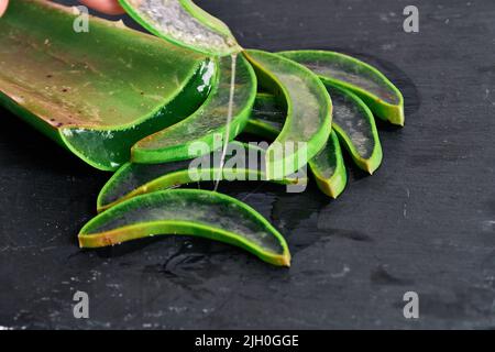 Morceaux de feuille de vera d'aloès et son gel Banque D'Images