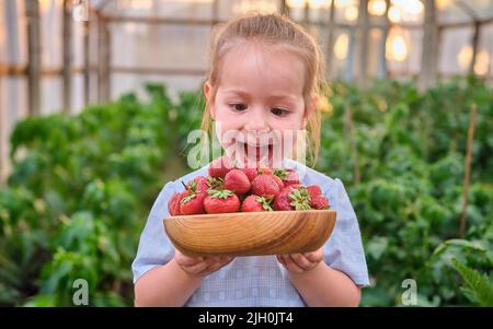 Un tout-petit émerveillé avec des fraises fraîchement cueillies dans une ferme de baies biologiques en été Banque D'Images