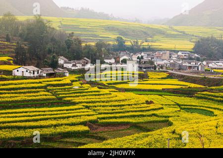 Le paysage des champs de fleurs de moutarde et un ancien village dans une vallée, le soleil se levant sur les terrasses de moutarde et les montagnes en arrière-plan. Chine. Banque D'Images