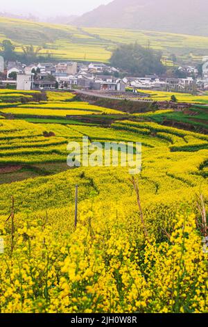 Le paysage des champs de fleurs de moutarde et un ancien village dans une vallée, le soleil se levant sur les terrasses de moutarde et les montagnes en arrière-plan. Chine. Banque D'Images