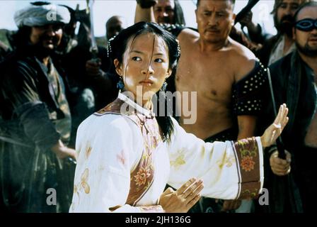 ZHANG ZIYI, Tigre et Dragon, 2000 Banque D'Images