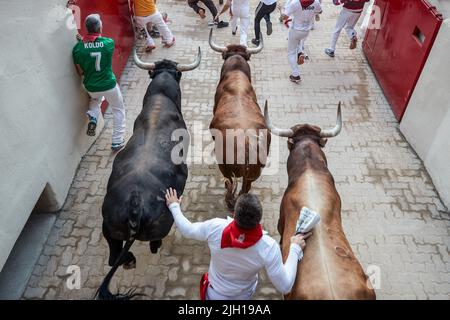 Pampelune, Espagne. 14th juillet 2022. Un coureur tombe au sol comme plusieurs taureaux et haltes passent lors de la dernière course de taureaux des festivités de San Fermin 2022 à Pampelune. Crédit : SOPA Images Limited/Alamy Live News Banque D'Images