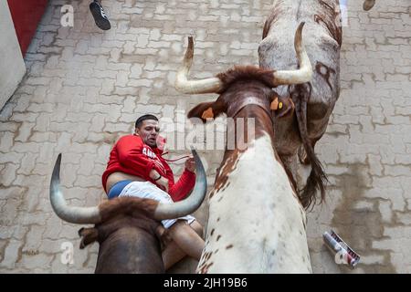 Pampelune, Espagne. 14th juillet 2022. Un coureur tombe au sol comme plusieurs taureaux et haltes passent lors de la dernière course de taureaux des festivités de San Fermin 2022, à Pampelune. Crédit : SOPA Images Limited/Alamy Live News Banque D'Images