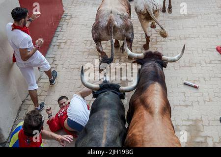 Pampelune, Espagne. 14th juillet 2022. Un coureur tombe au sol comme plusieurs taureaux et haltes passent lors de la dernière course de taureaux des festivités de San Fermin 2022, à Pampelune. Crédit : SOPA Images Limited/Alamy Live News Banque D'Images