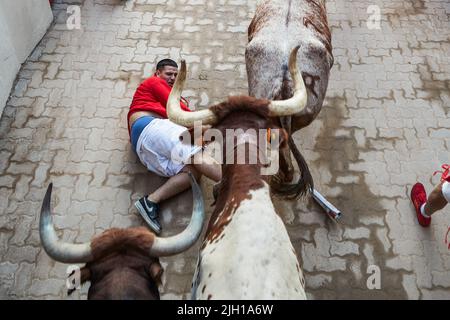 Pampelune, Espagne. 14th juillet 2022. Un coureur tombe au sol comme plusieurs taureaux et haltes passent lors de la dernière course de taureaux des festivités de San Fermin 2022 à Pampelune. (Photo de Fernando PIdal/SOPA Images/Sipa USA) Credit: SIPA USA/Alay Live News Banque D'Images