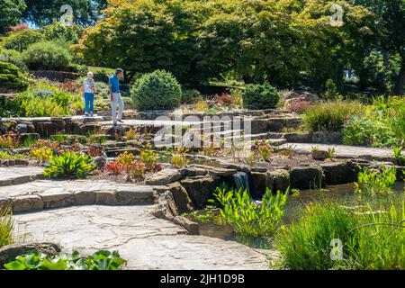 The Rockery,Rock Garden,RHS Wisley,Angleterre,Royaume-Uni Banque D'Images