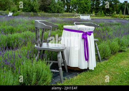 Mobilier table pliante et chaises pour les loisirs de plein air dans un champ de lavande fleuri avec un vase de lavande sur la table. Fond d'un naturel l Banque D'Images