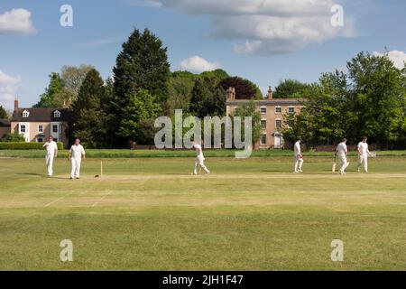 Joueurs de cricket sur Village Green, Frampton on Severn, Gloucestershire, Royaume-Uni Banque D'Images