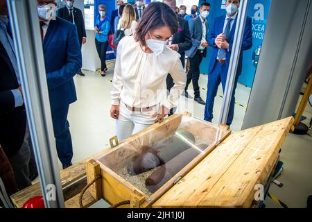 Rostock, Allemagne. 14th juillet 2022. Annalena Baerbock (Bündnis 90/Die Grünen), ministre des Affaires étrangères, regarde une boîte de munitions provenant de la mer Baltique lors de sa visite à l'Institut Fraunhofer de recherche en infographie au début de son voyage de dix jours en Allemagne. Au cours de sa tournée, la politicienne verte veut recueillir des renseignements et des impressions pour une stratégie de sécurité nationale. L'institut mène des recherches sur les effets écologiques des déchets de munitions et sur la détection des munitions dans la mer. Credit: Jens Büttner/dpa/Alay Live News Banque D'Images