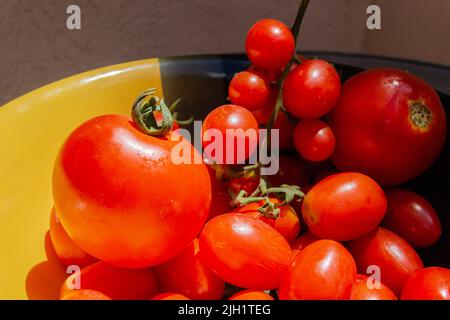 Tomates cerises rouges mûres fraîchement cueillies. Image rapprochée de tomates cerises rouges mûres fraîchement cueillies. Banque D'Images