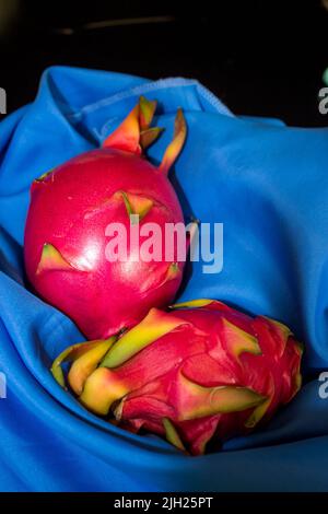 Deux des fruits étranges de couleur rose du cactus Pitahaya, connu sous le nom de fruit dragon, sur un fond bleu vif Banque D'Images