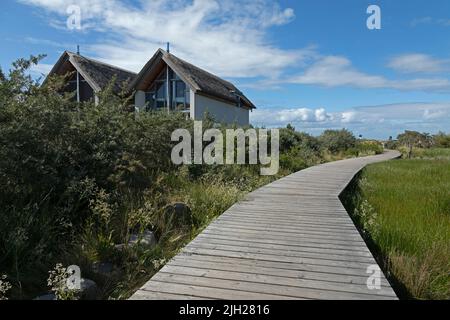 Maisons en chaume, passerelle piétonne à travers le biotope, péninsule de Steinwarder, Heiligenhafen, Schleswig-Holstein, Allemagne Banque D'Images