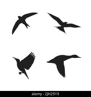 Vecteur de silhouette des oiseaux volants Illustration de Vecteur
