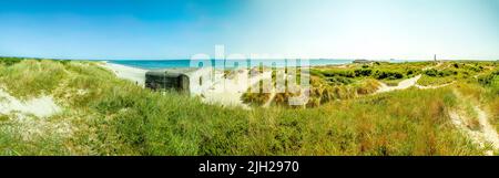 Vue sur la plage et l'océan à Skagen, Danemark Banque D'Images