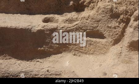 Le renard de Karahan Tepec, site archéologique néolithique découvert en Turquie en in1997. Le frère de Gobekli Tepe. Banque D'Images